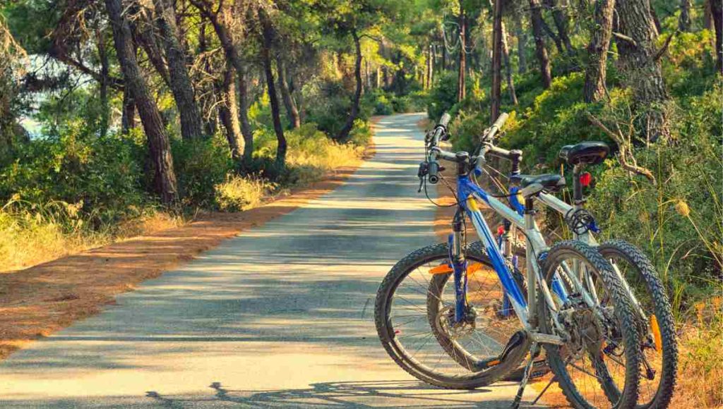 Best Bike For 13 Year Old Boy 2023 bikestarreviews